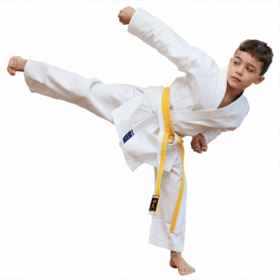 Karategi Kaiten Shiro