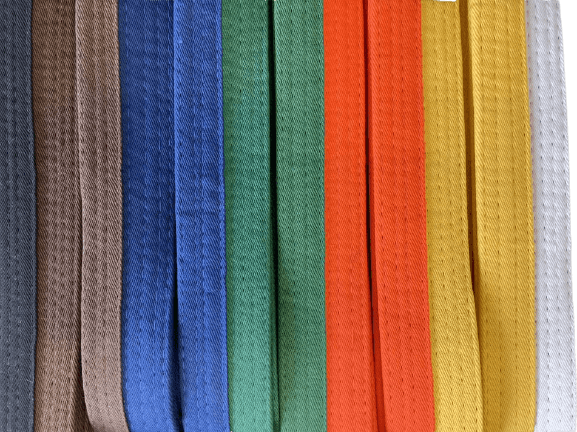 cintura bicolore kaiten