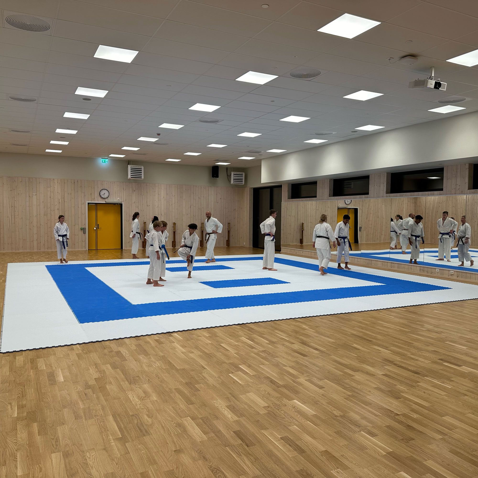 New tatami colours to be used at the 2019 World Judo Championships
