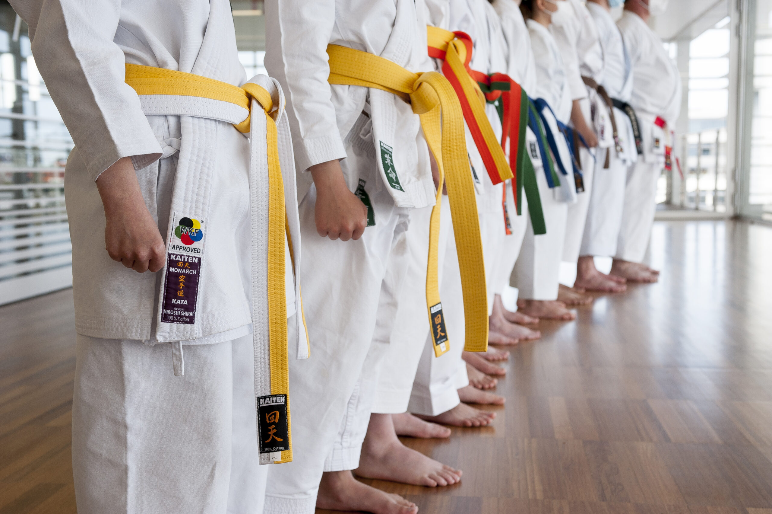 Colors and Meanings of Karate Belts