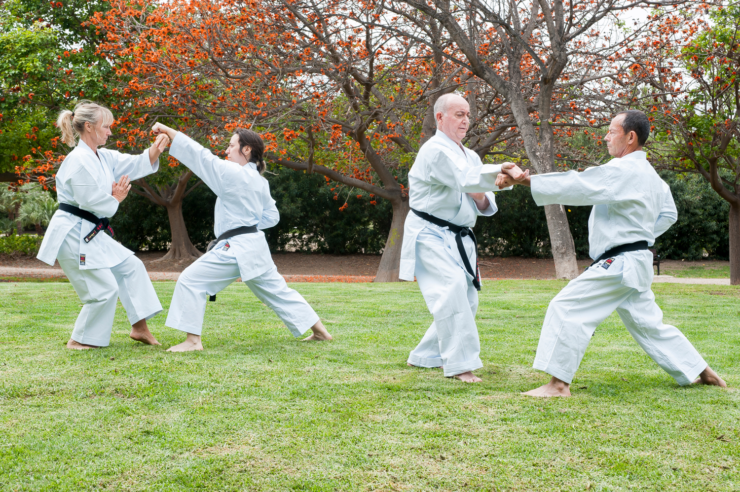 Corte Japonês vs. Corte Europeu nos Karategis SHUREIDO